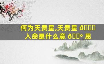 何为天贵星,天贵星 🕊 入命是什么意 🌺 思